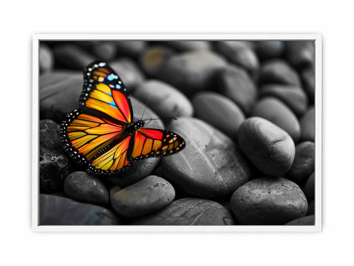 Butterfly on Pebles Framed Print