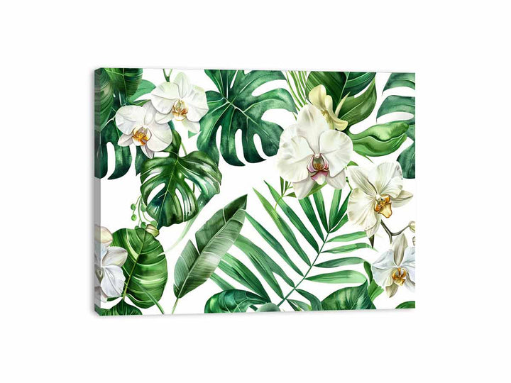 Orchids Canvas Print