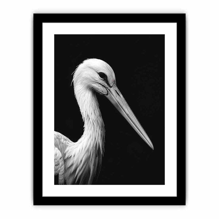 Stork  Art Print