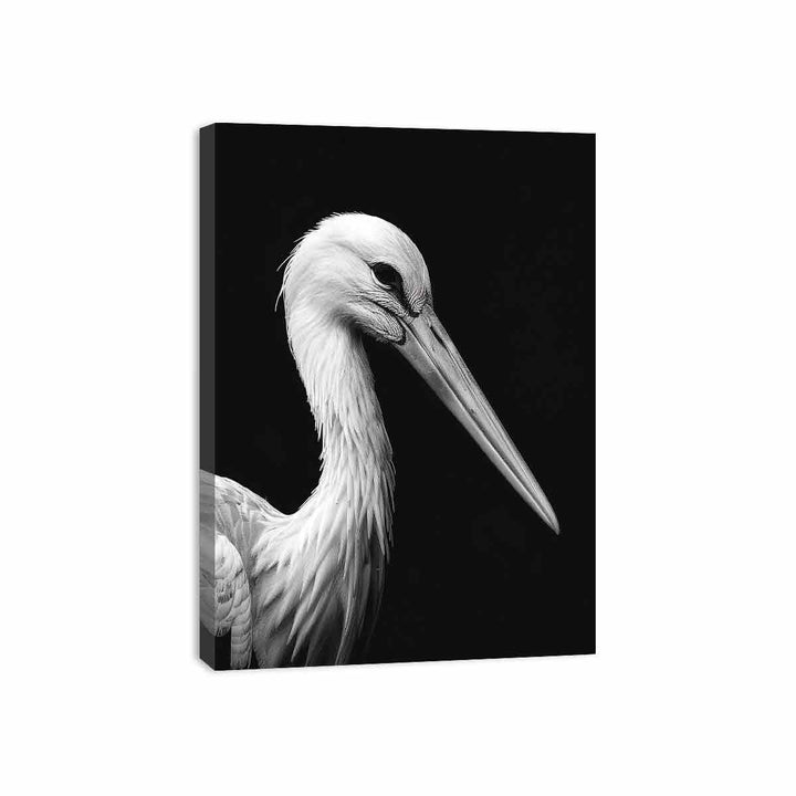 Stork Canvas Print