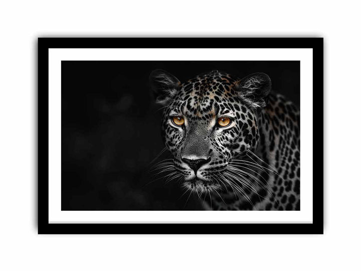 Leopard in Dark  Art Print