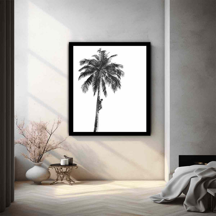 Coconut Tree  