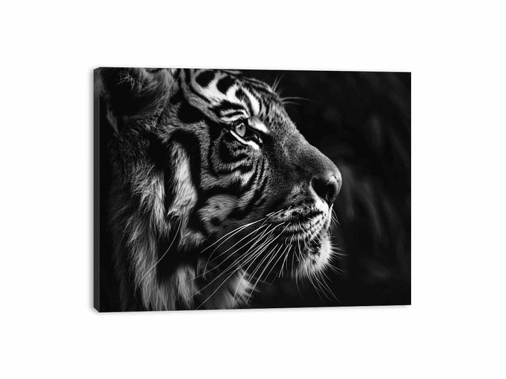 Lion  Canvas Print