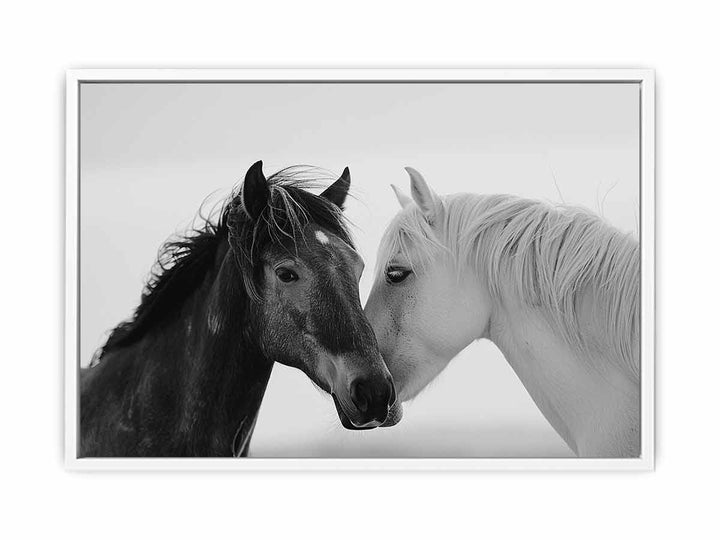 Horses Communicate  Framed Print