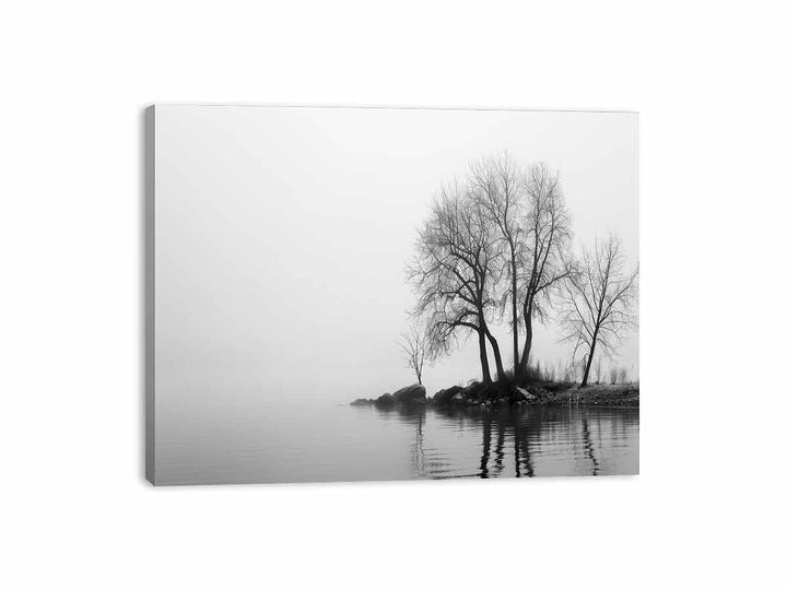 Misty Lake Canvas Print