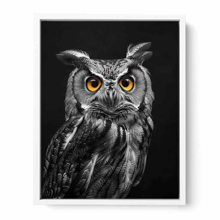 Owl Framed Print