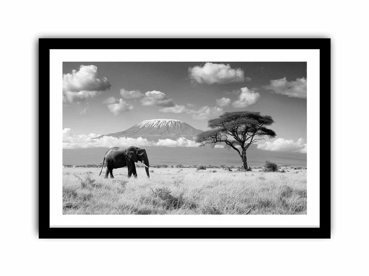 Lonely Elephant  Art Print