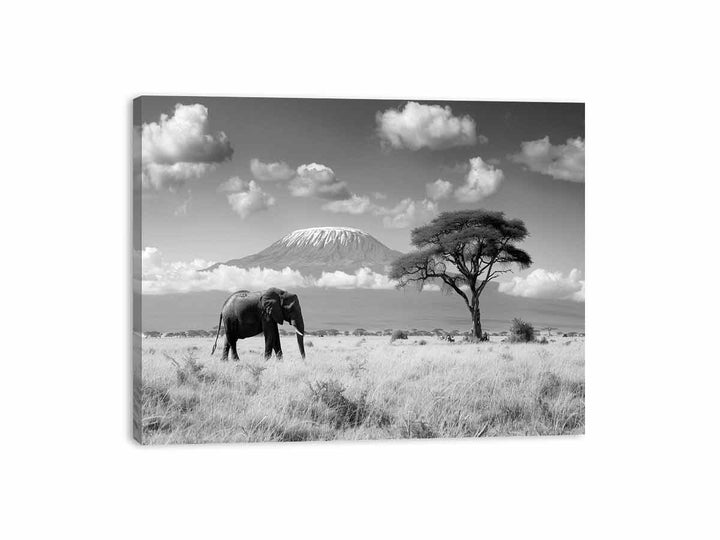 Lonely Elephant Canvas Print