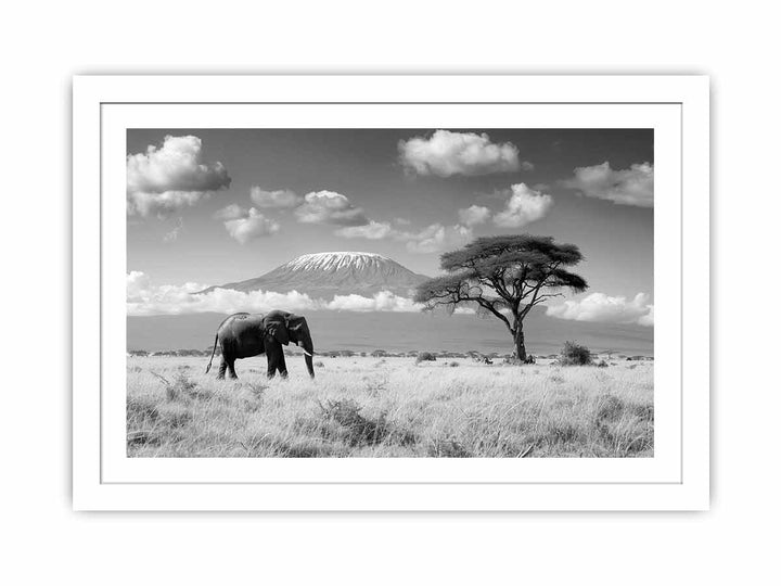 Lonely Elephant Streched canvas