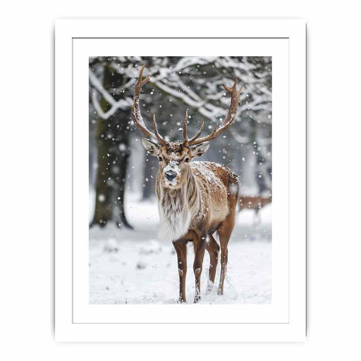 Reindeer  in Snow Streched canvas