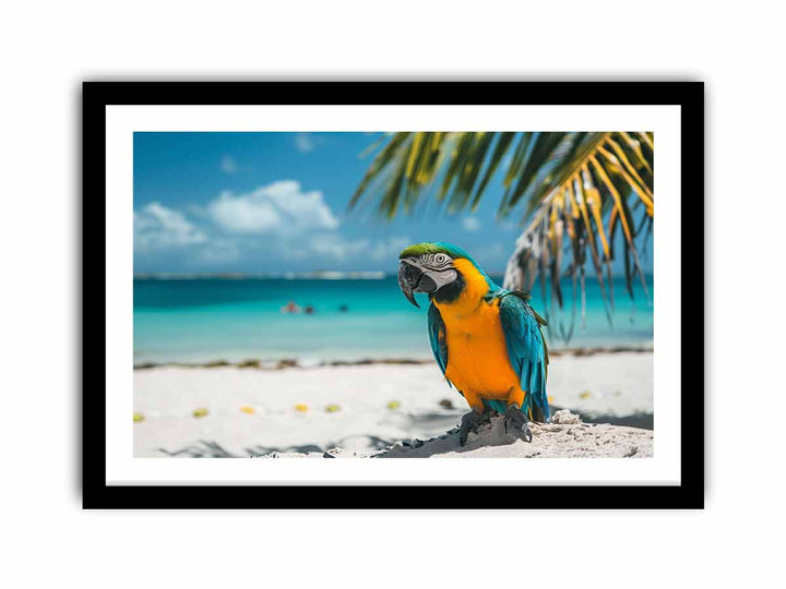 Tropical Parrot   Art Print