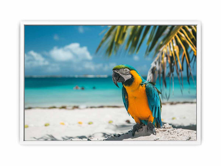 Tropical Parrot  Framed Print