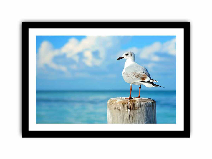 Seagull   Art Print