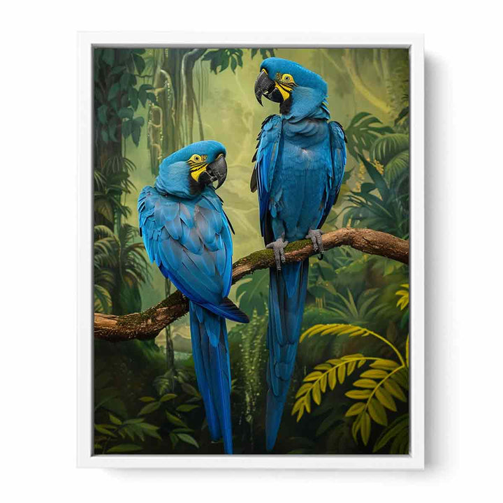 Blue Macaw Framed Print