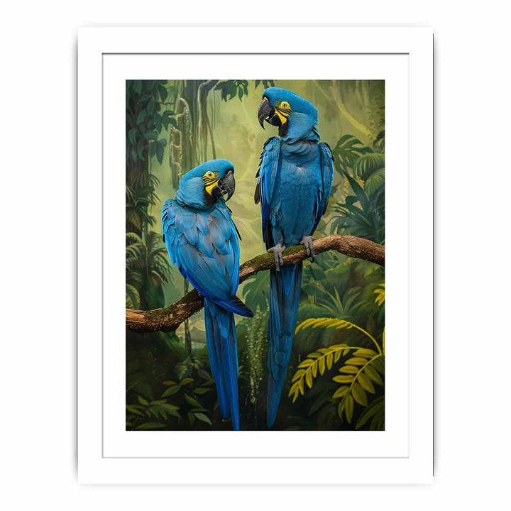 Blue Macaw Streched canvas