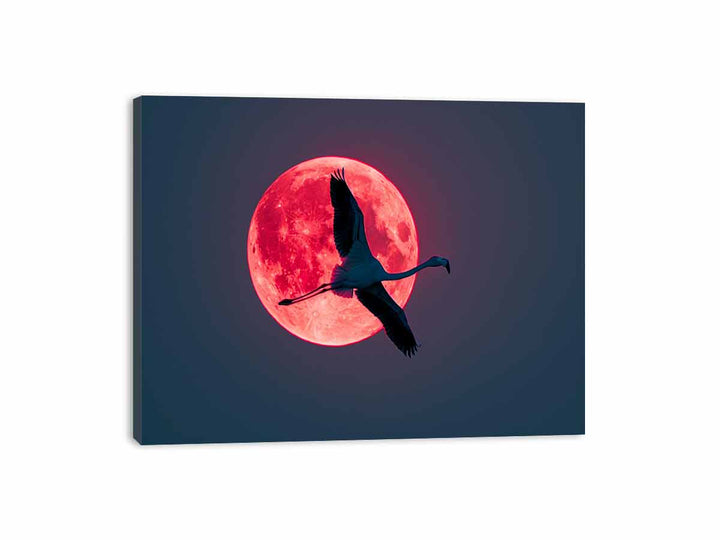 Flamingo  Canvas Print