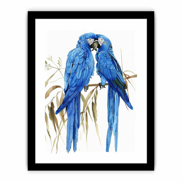 Hyacinth Macaw  Art Print