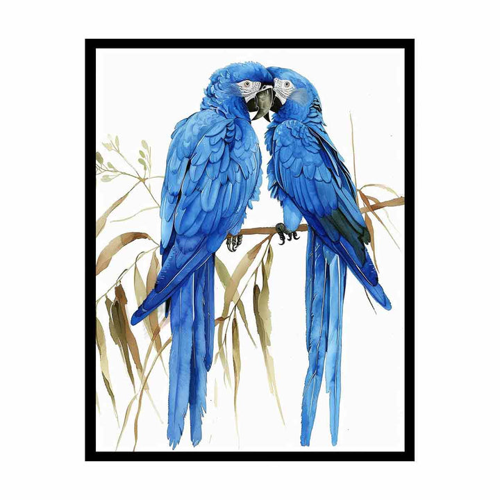 Hyacinth Macaw  Painting