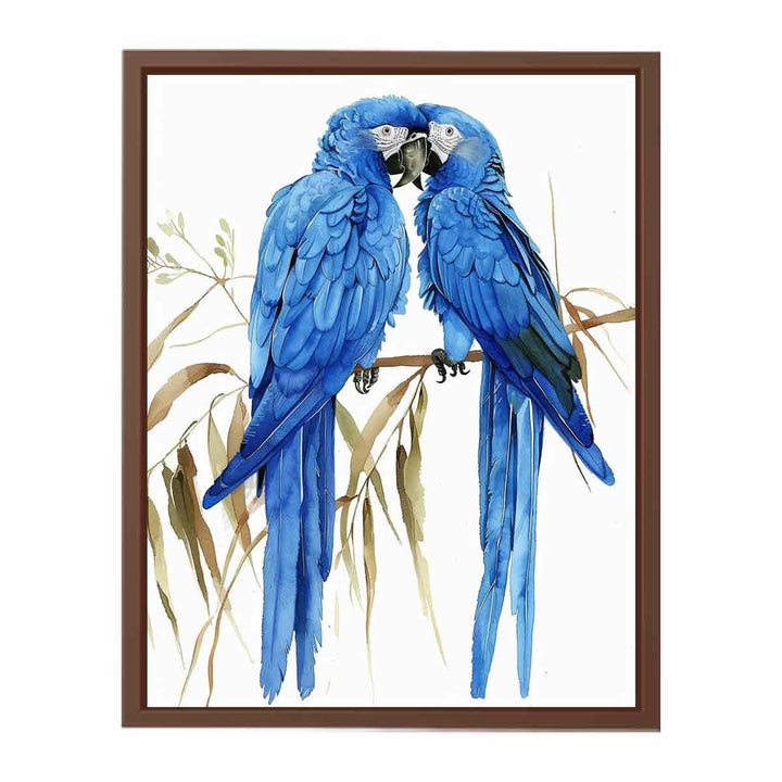 Hyacinth Macaw  Poster