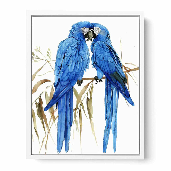 Hyacinth Macaw Framed Print