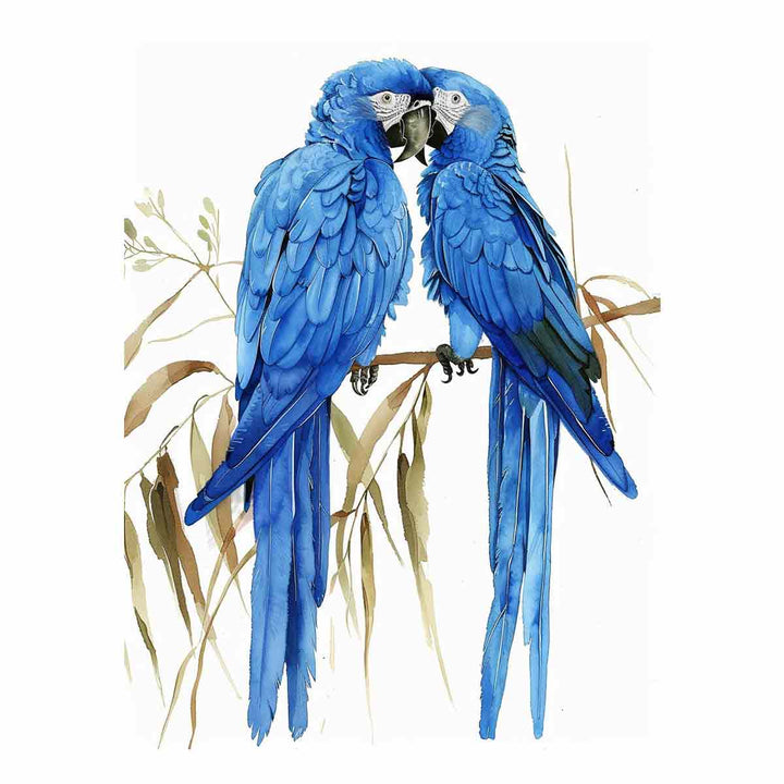 Hyacinth Macaw