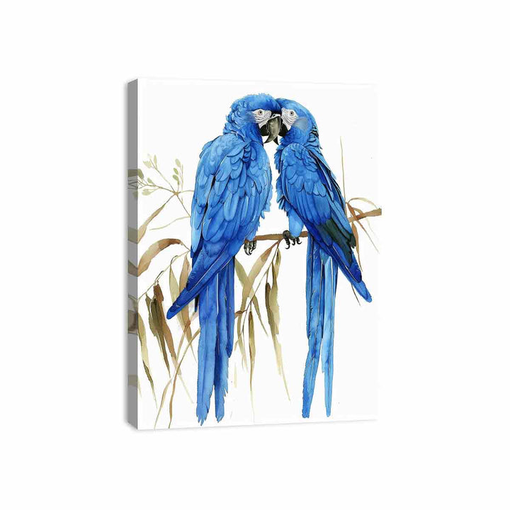 Hyacinth Macaw Canvas Print