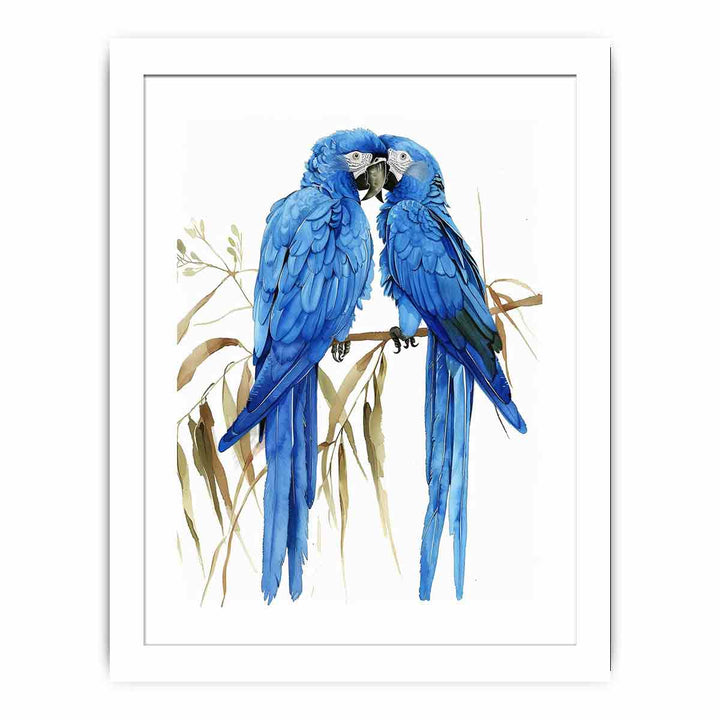 Hyacinth Macaw Streched canvas