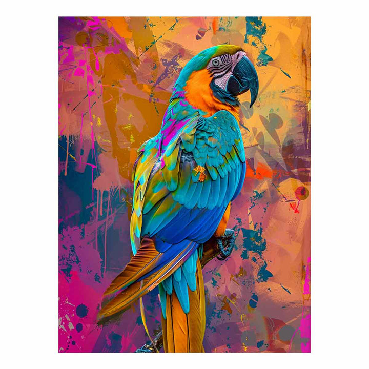 Colorful Parrot 