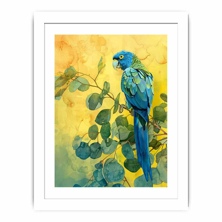 Blue Parrot  Streched canvas