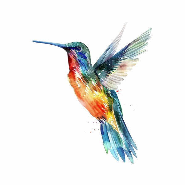 Hummingbird 