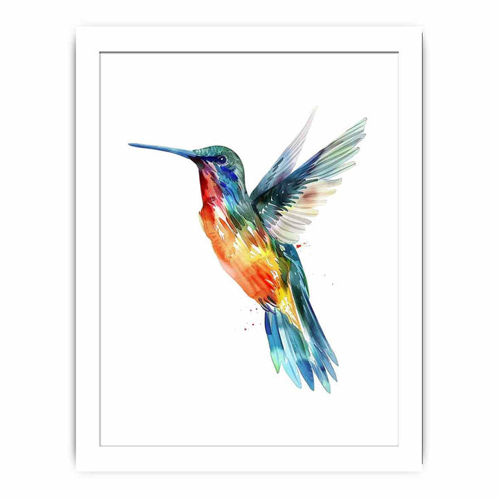 Hummingbird  Streched canvas