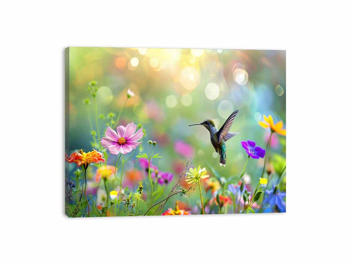 Hummingbird  Canvas Print