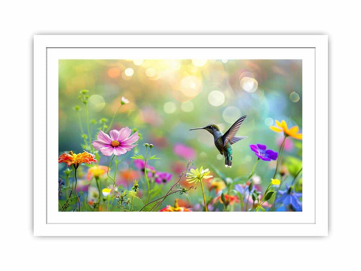 Hummingbird  Streched canvas