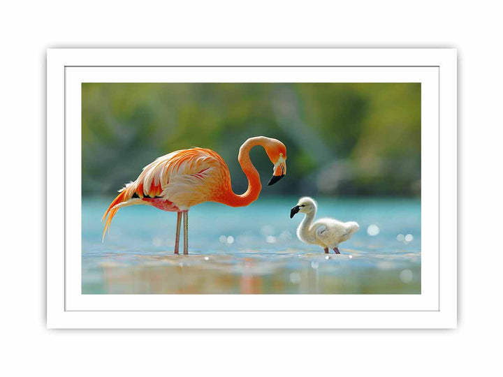 Flamingo Mother Streched canvas