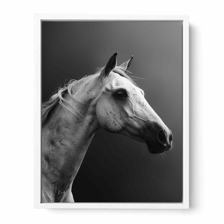 Horse Framed Print