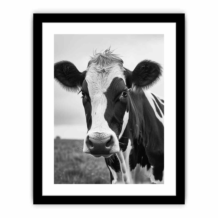 Cow  Art Print