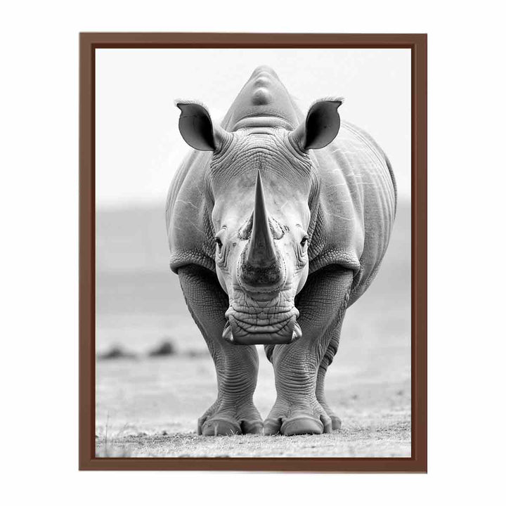 Rhino  Poster