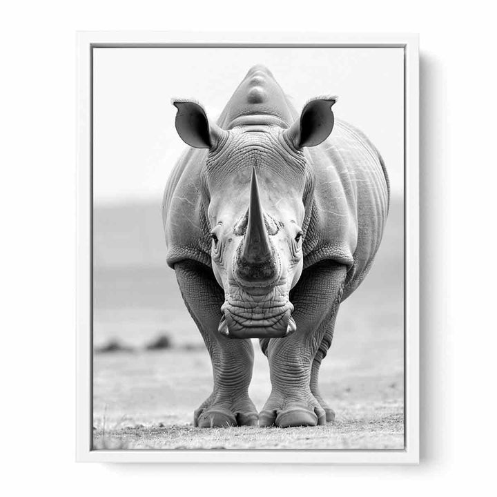 Rhino Framed Print