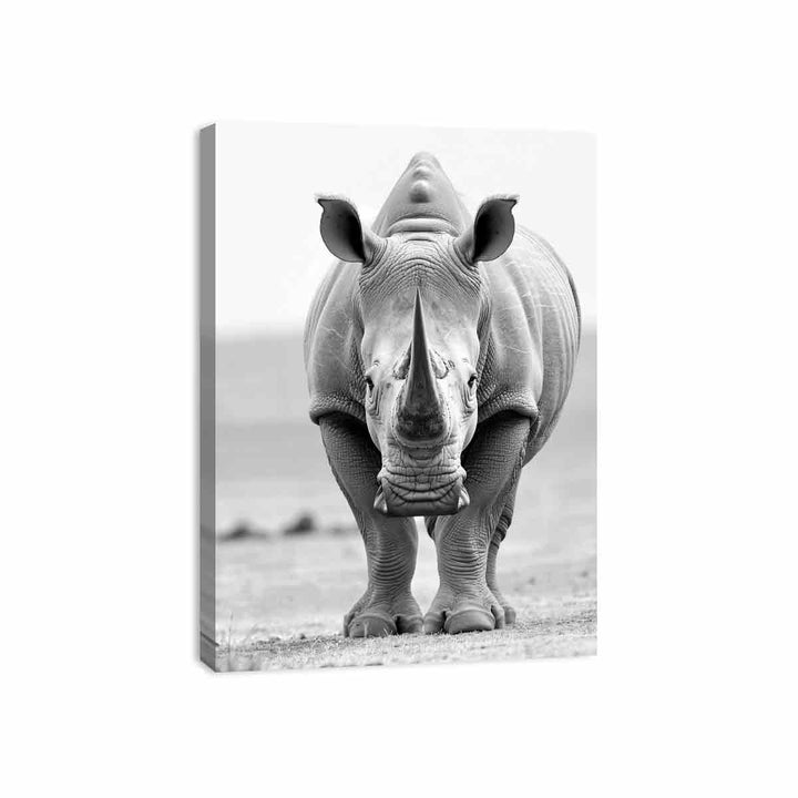 Rhino Canvas Print