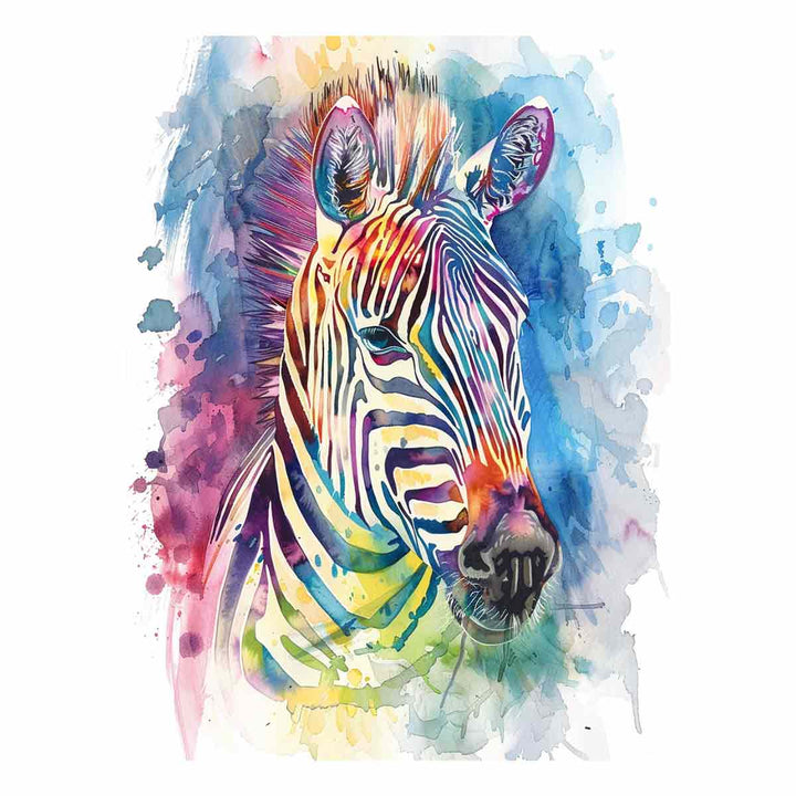  Zebra 