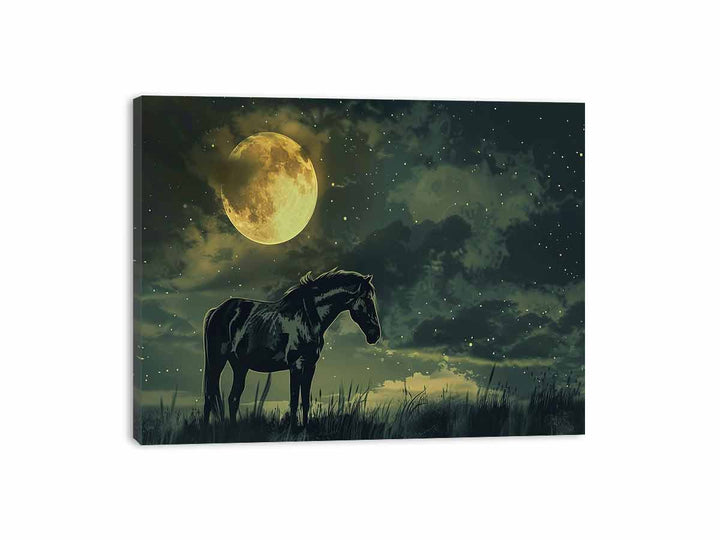 Full Night Moon Canvas Print