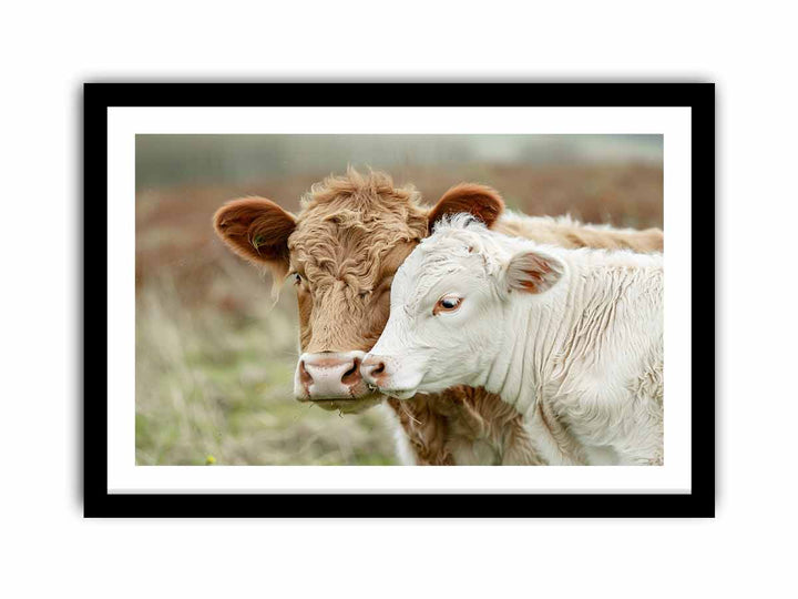 Cow Mother &  Child   Art Print