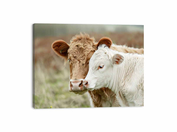 Cow Mother &  Child  Canvas Print