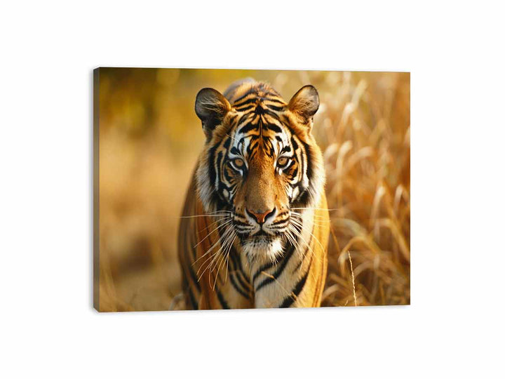 Bengal Tiger  Canvas Print