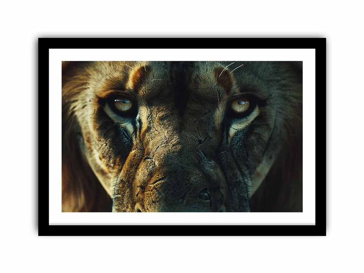 Lion   Art Print