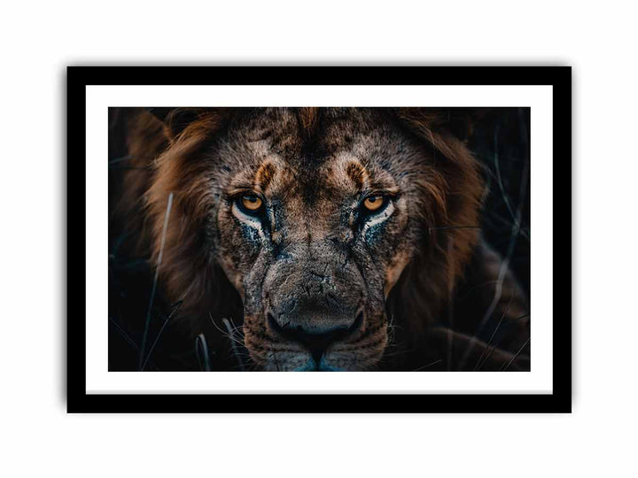 Lion   Art Print