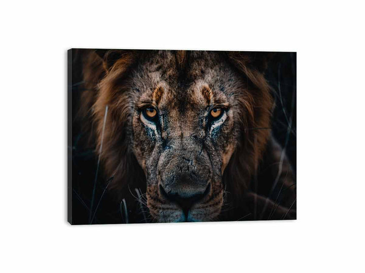 Lion  Canvas Print