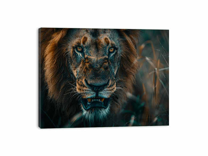 Lion  Canvas Print