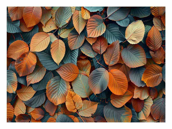 Colorful Leaves 