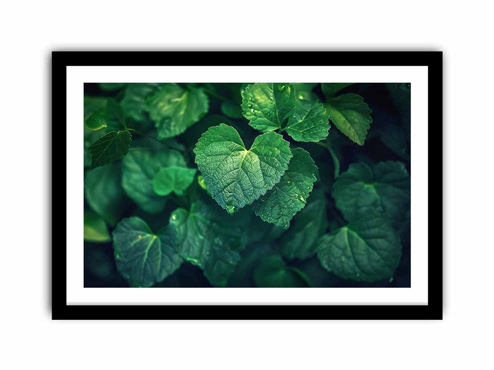 Love Leaves   Art Print